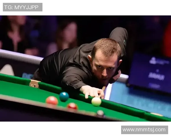 法国与威尔士精彩对决录像回放分析与精彩瞬间回顾